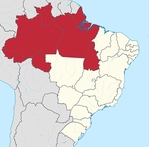 O Norte é a região mais jovem do Brasil: 25,2% das pessoas têm até 14 anos e a idade mediana é de 29 anos.