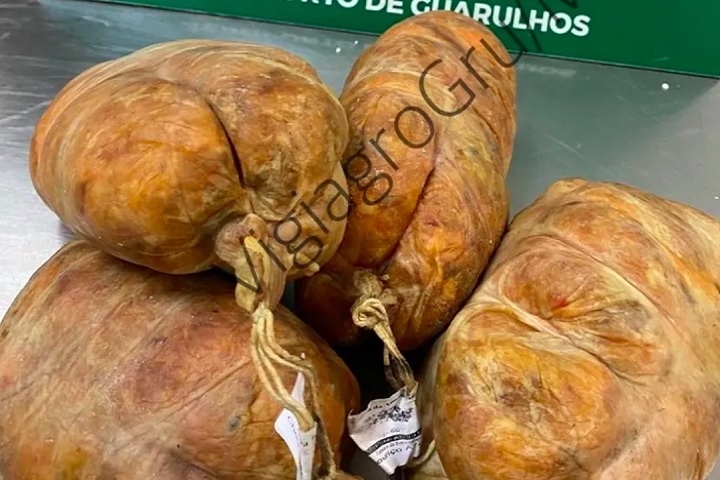 Tripa Suína: Mais um item inusitado apreendido pelo Vigiagro. Dessa vez, o conteúdo foi apreendido em Guarulhos (SP) e foi descartado em seguida. Reprodução: Flipar