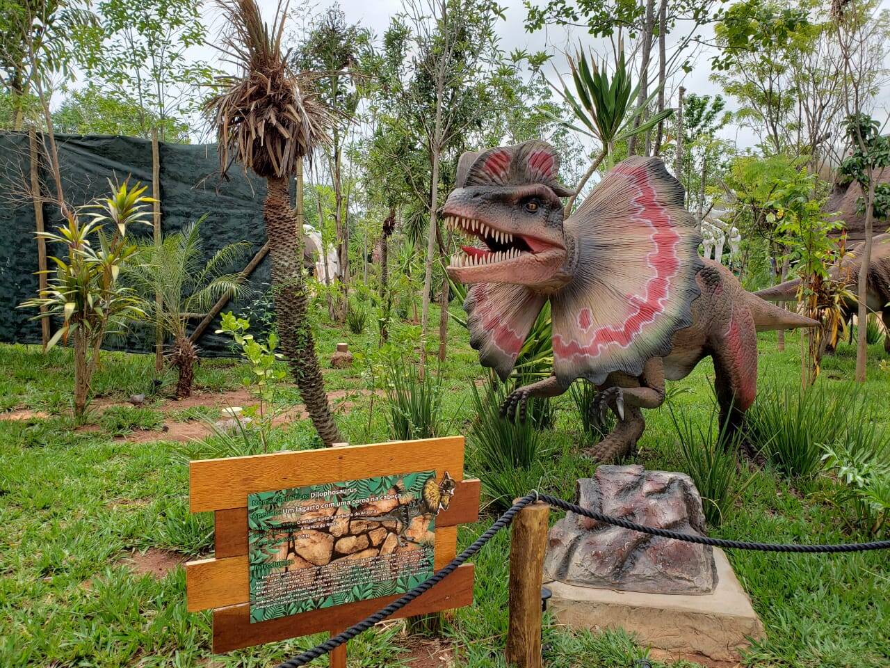O Dilophosaurus é muito conhecido dos filmes de Jurrasic Park e está em exposição no Vale dos Dinossauros, em Olímpia