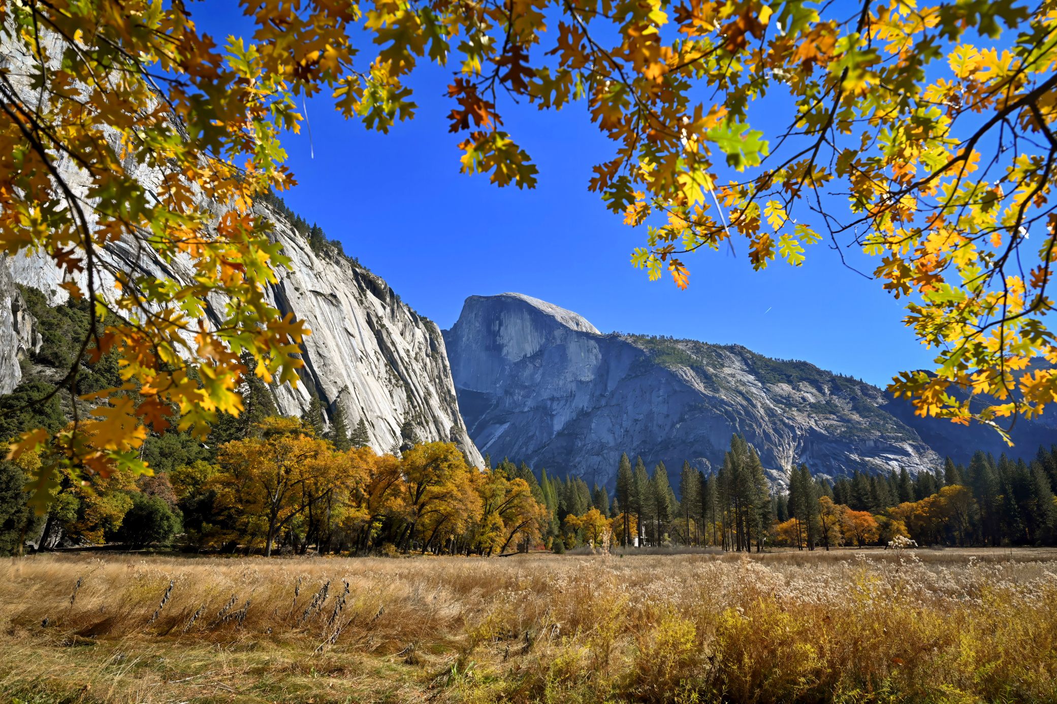 Granite Bartholith durante o outono. Foto: Parque Nacional de Yosemite