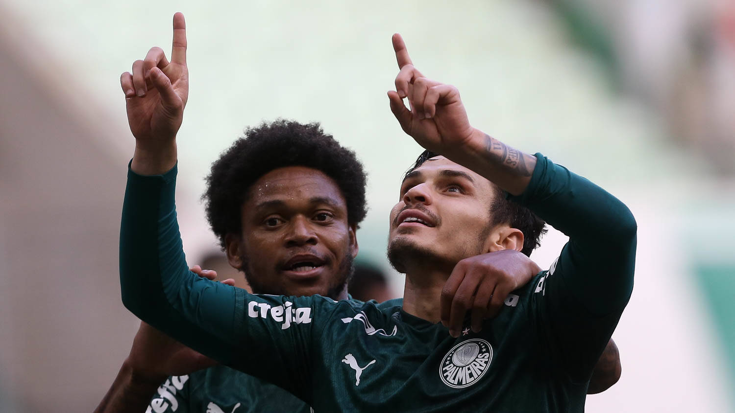 Palmeiras. Foto: Cesar Greco