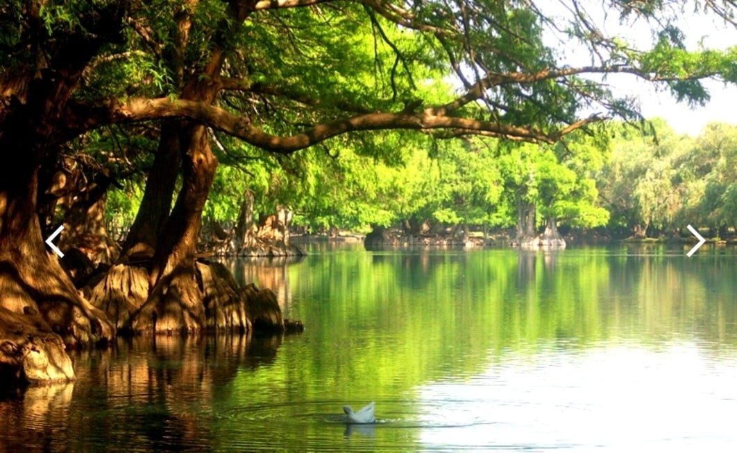 Uma parte do país tem predominância do clima subtropical úmido. É onde fica o Lago Camécuaro, uma área protegida, com água cristalina, paraíso de fotógrafos pela beleza da paisagem. Reprodução: Flipar