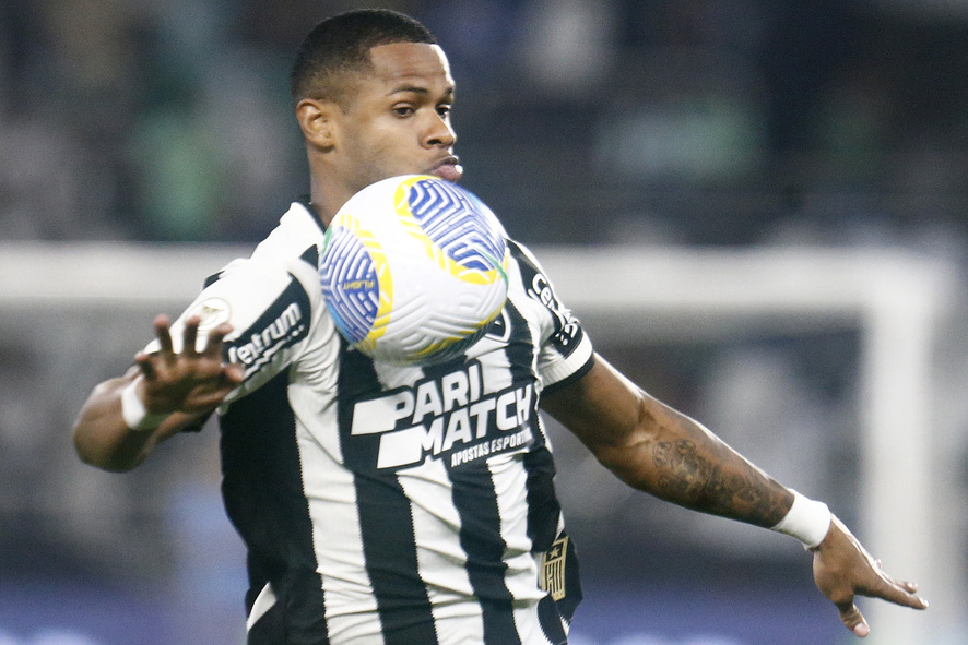 Botafogo x Palmeiras (Foto: Vítor Silva/Botafogo)