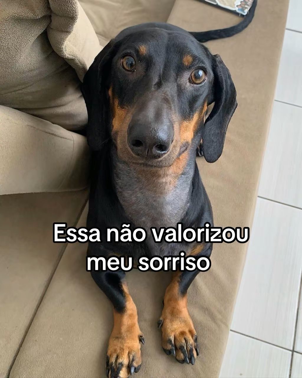 Torresmo tem 2 anos. Foto: Reprodução Instagram - @torresmo.jose