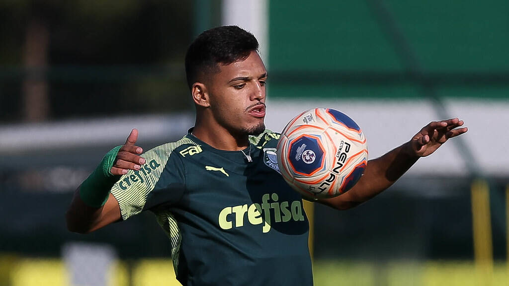 Palmeiras treina para a semifinal. Foto: Cesar Greco