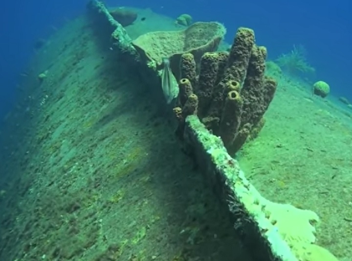 Ele está localizado sobre uma plataforma de areia entre dois sistemas de recifes de coral. Embora a penetração seja limitada, a visibilidade cristalina torna o mergulho no Hilma Hooker inesquecível. Reprodução: Flipar