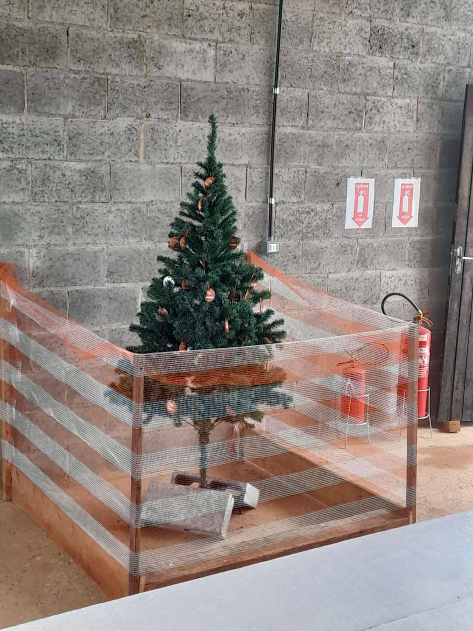 A árvore de Natal artificial se tornou o local de nascimento de uma nova família . Foto:  Santa Ângela Construtora