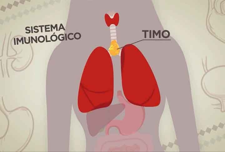 Quando tinha 15 anos, Sabrina recebeu o diagnóstico de um tumor no timo, órgão linfático entre os pulmões e próximo ao coração que regula o sistema imunológico.
 Reprodução: Flipar