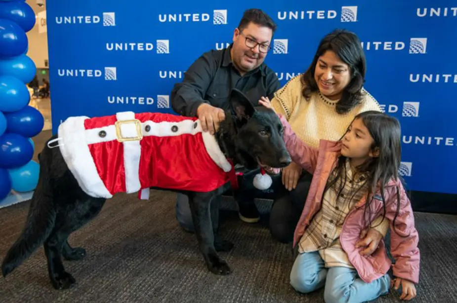 O cão passou quatro meses em quarentena antes de ser colocado para adoção. Foto: United Airlines