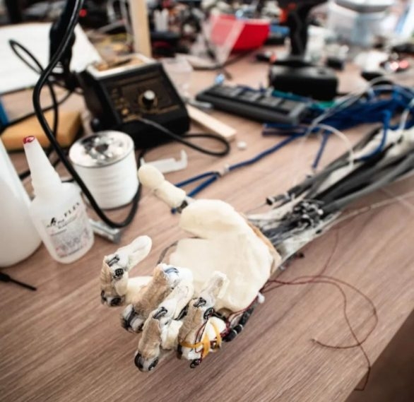 Além disso, o Protoclone é anatomicamente preciso, replicando estruturas esqueléticas, musculares, vasculares e nervosas, diferindo de outros robôs humanoides. Reprodução: Flipar