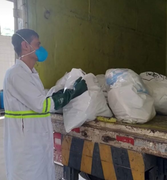A Vigiagro destrói alguns produtos apreendidos para evitar que pragas ou doenças comprometam a agropecuária, o meio ambiente e a saúde pública. Reprodução: Flipar
