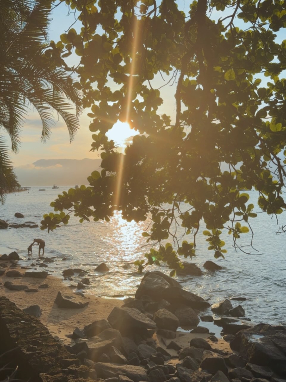 Ana Paula Padrão observa sol se pondo. Foto: Reprodução/ Instagram @anapaulapadraooficial