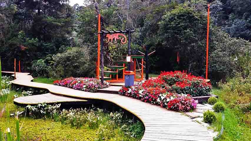 O Bosque do Silêncio (foto), próximo ao Capivari, também é ideal para um momento de paz. Já o Pico do Itapeva, com sua vista panorâmica, proporciona um espetáculo da natureza em 360 graus. Reprodução: Flipar