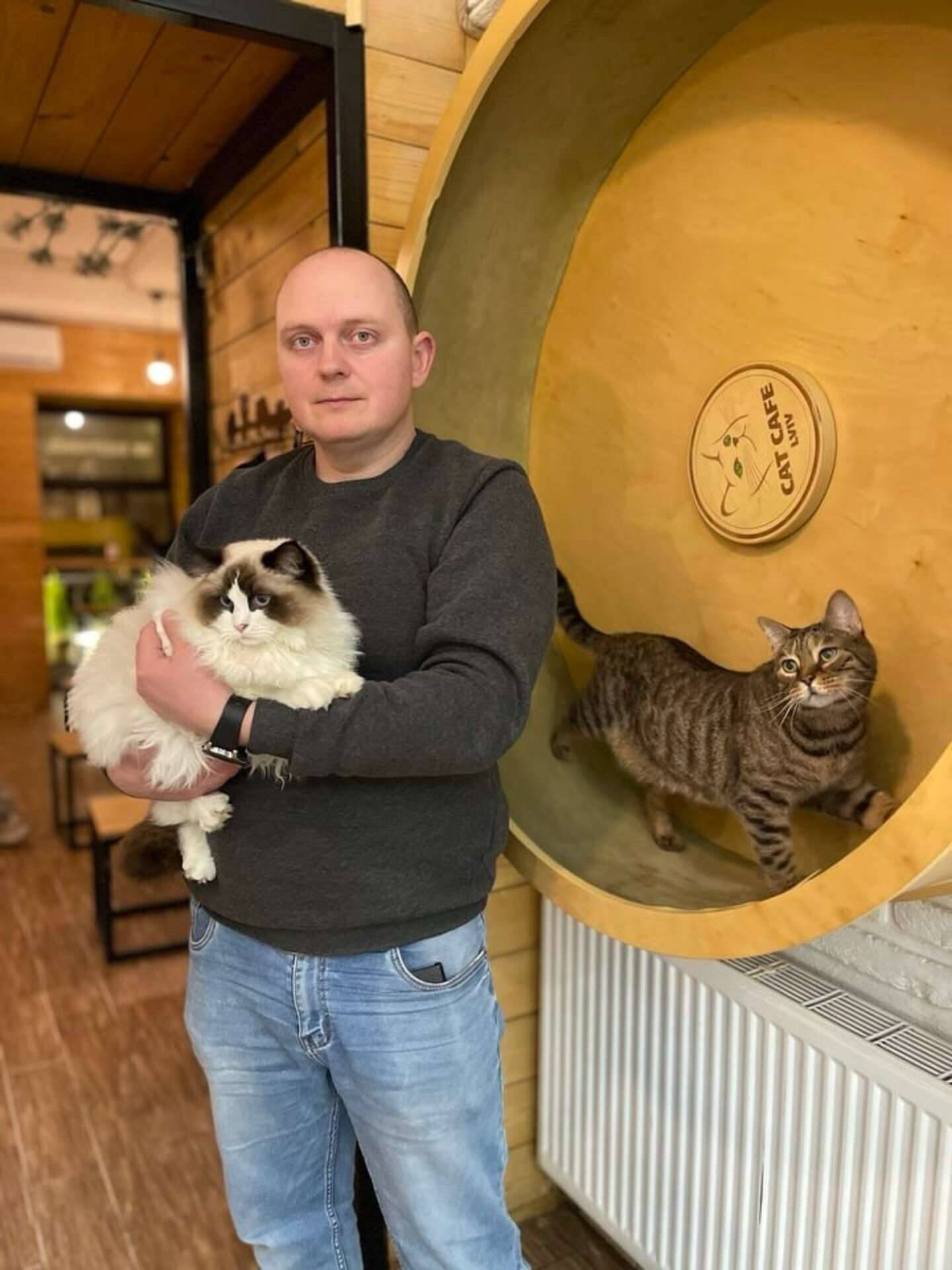 Serhii Oliinyk é dono do Cat Cafe, que abriga 20 gatos na Ucrânia. Foto: Cat Cafe Lviv