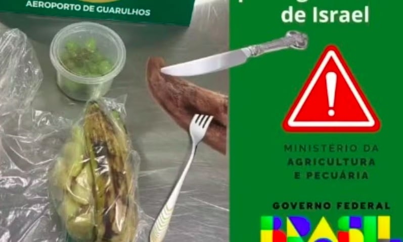 Língua: O homem que vinha de Israel até tentou esconder frutas frescas e 250 gramas de língua cozida em sua bagagem, mas não deu certo. Segundo a Vigiagro, ele até chegou a perguntar se poderia consumir a iguaria ali mesmo para evitar o descarte. Reprodução: Flipar