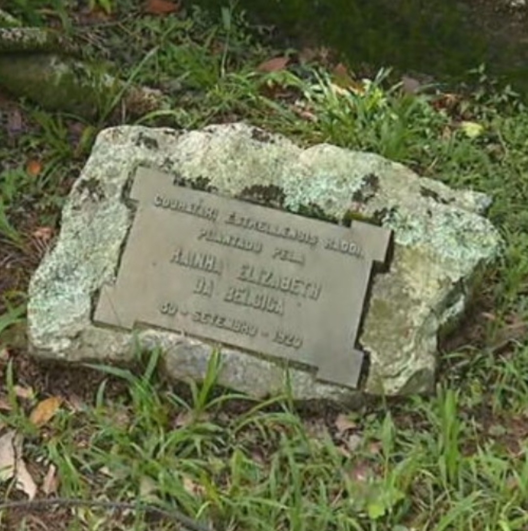 Na visita, as pessoas também observam espécimes que foram plantados por personalidades mundialmente famosas, durante visitas do Jardim Botânico. Entre elas, a Rainha Elisabeth da Bélgica, em 1920. Reprodução: Flipar