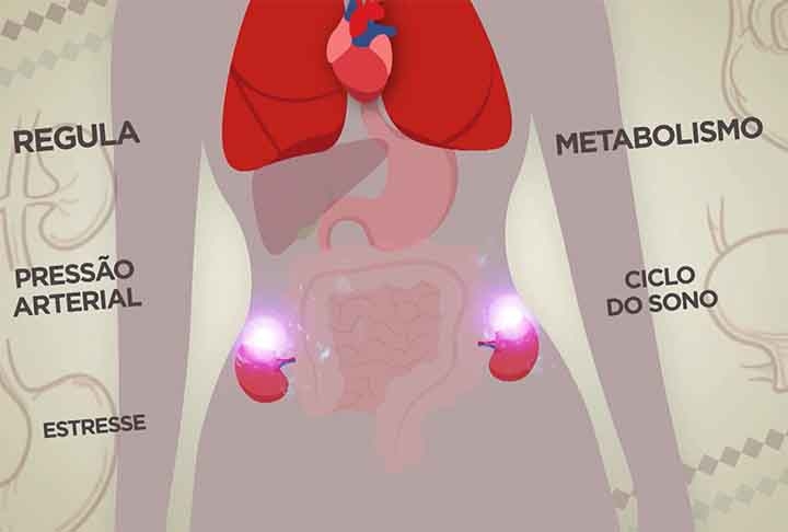 Passados dois anos da cirurgia, Sabrina voltou a sofrer com os sintomas e exames mostraram que o tumor não só seguiu em seu corpo como aumentou de tal forma que não poderia mais ser retirado por meio cirúrgico.
 Reprodução: Flipar