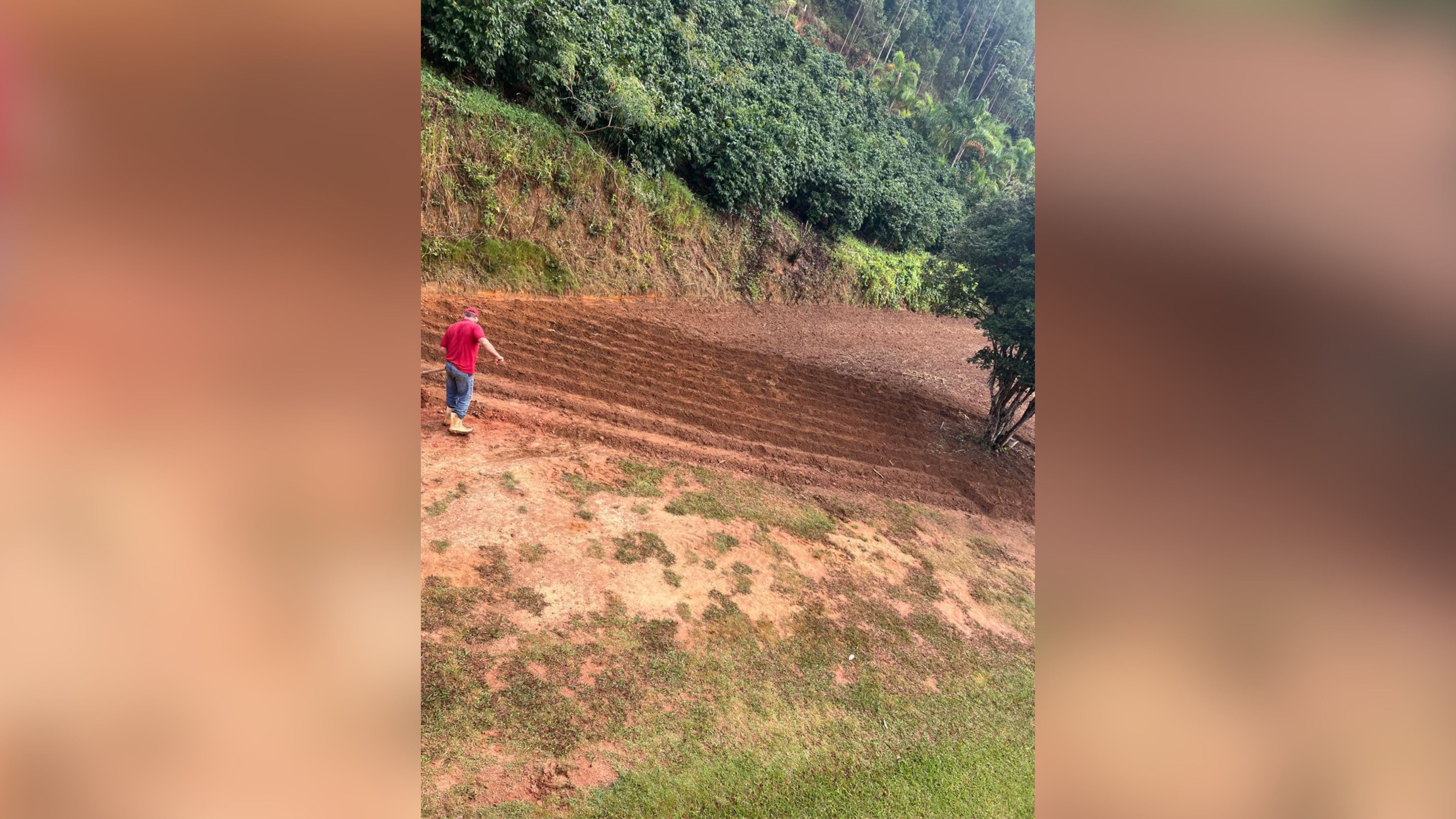 Tudo começou com uma semente e muita espera. Foto: Arquivo pessoal