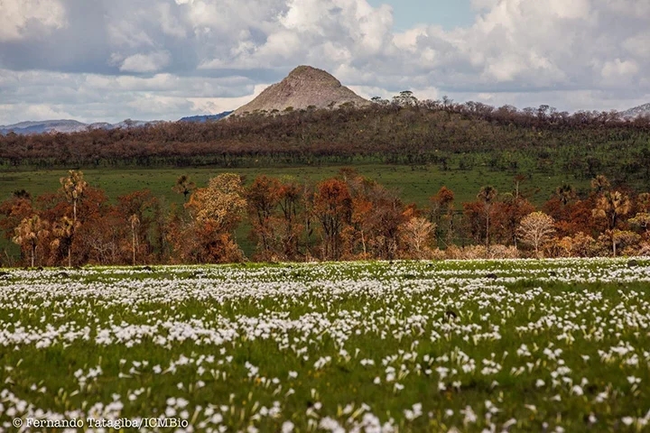 8ª- Parque Nacional da Chapada dos Veadeiros – Fica em Goiás e tem 655 mil m². Ele foi declarado Patrimônio Mundial Natural pela Unesco. Reprodução: Flipar