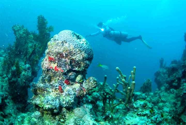 A barreira protege uma lagoa de 24.000 km², rica em manguezais, ervas marinhas e outros habitats importantes, além de apresentar formações geológicas únicas, como recifes fósseis e pináculos de coral. Reprodução: Flipar