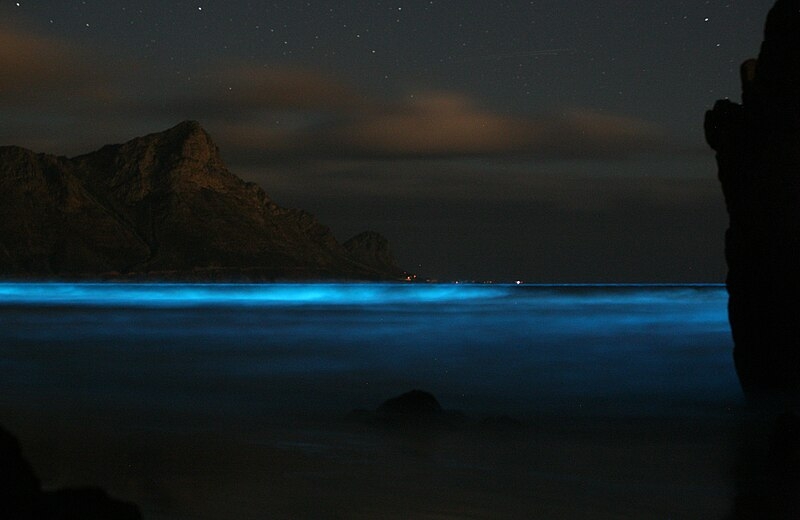 Krabi - Na costa sul da Tailândia, a província tem uma ilha onde a bioluminescência por plânctons é apreciada com frequência.
 Reprodução: Flipar