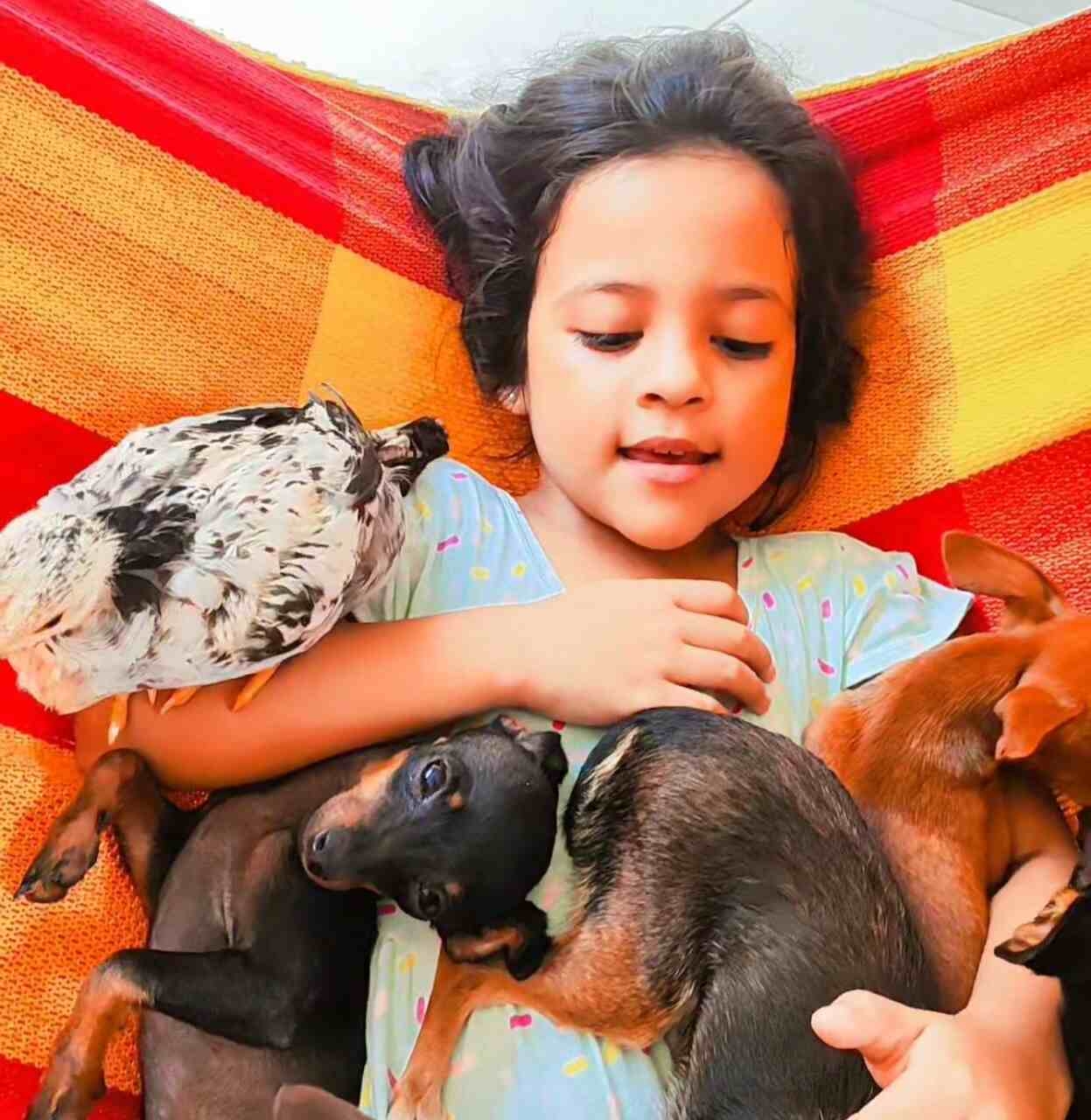 Helena Sophia, de apenas cinco anos, de Rio Branco, no Acre, faz vídeos nas redes sociais cuidando de seus animais pinscher.