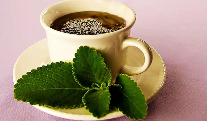 Boldo, hortelã e chá verde: As três ervas têm propripriedades para limpar o estômago e o fígado, aliviando a sensação de mal-estar.  Reprodução: Flipar