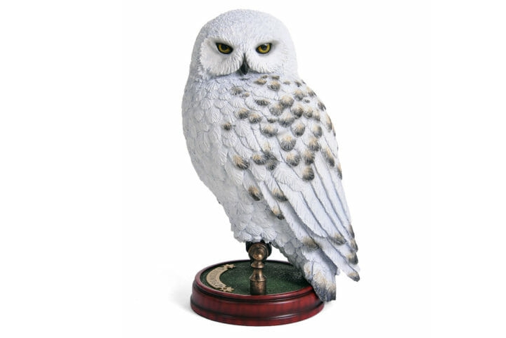 Um dos souvenirs preferidos do público é a coruja Hedwig, animal de estimação de Harry Potter. Ela é uma coruja branca, nevada, nativa do Ártico. Reprodução: Flipar