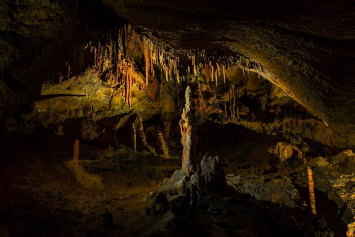 No entanto, apenas em 2021 o lugar começou a ser explorado em maior profundidade, levando à catalogação de mais de 110 gravuras paleolíticas. Reprodução: Flipar