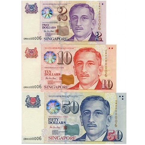 A língua oficial de Singapura é o inglês, mas o malaio, o mandarim, o tâmil e o malaio indonésio também são falados. Já a moeda oficial é o dólar de Singapura.