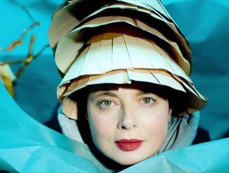 Na juventude, ela foi modelo antes de iniciar a carreira no cinema. Seus primeiros filmes foram na Itália, até que veio a fama com a atuação em “Veludo Azul”. 
 Reprodução: Flipar