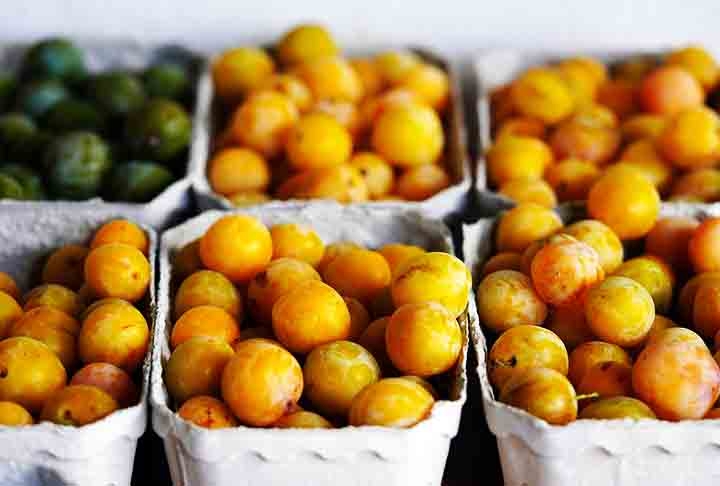 Entre suas diversas variedades, destacam-se as ameixas vermelha, amarela, preta e verde, que se diferenciam principalmente pelo tipo de antioxidantes presentes. Reprodução: Flipar