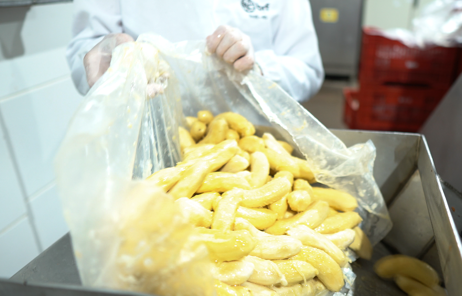 Banana usada na produção de ração natural. Foto: Divulgação/Biofresh