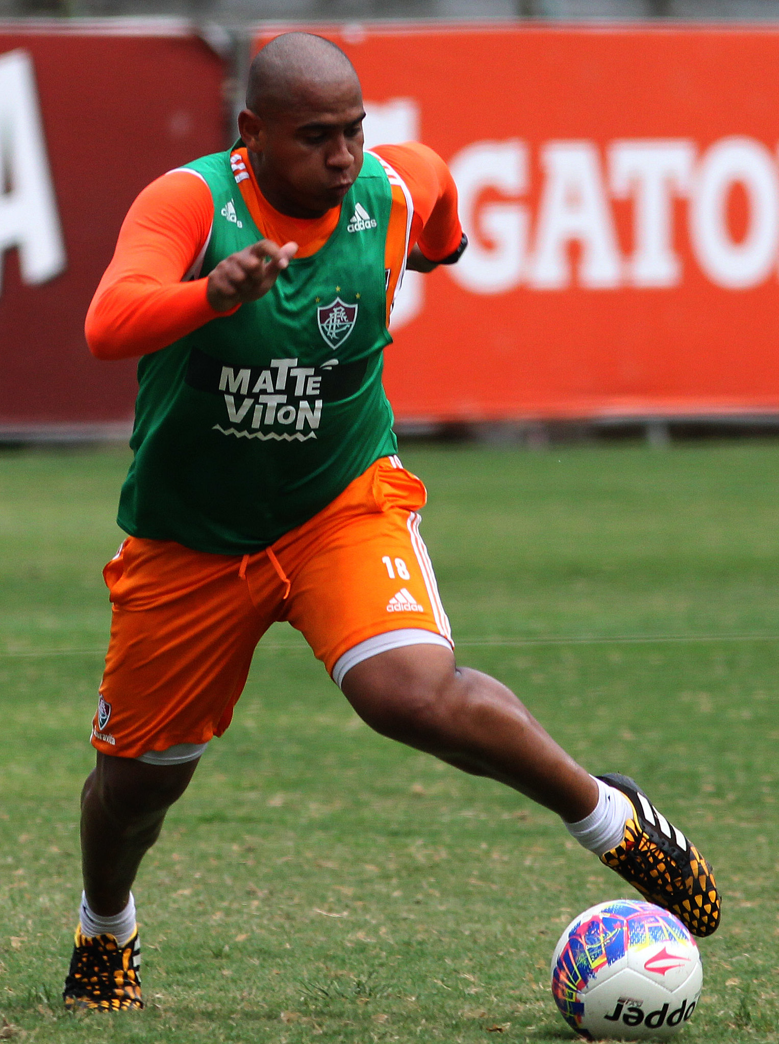 Walter Divulgação/ Fluminense