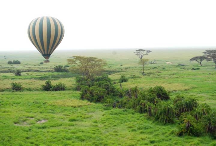 17º) Passeio de balão no Serengeti - Imagina poder observar o Serengeti a bordo de um balão? O parque está na lista da Unesco e conta com diversos animais, como leões, elefantes, zebras, gnus e girafas.