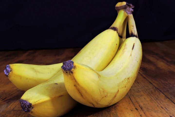 De acordo com uma pesquisa recente, publicada na revista Nature Microbiology, um fungo chamado de mal-do-Panamá, está ameaçando a produção global de bananas, assim como aconteceu com a banana Gros Michel no passado. Reprodução: Flipar