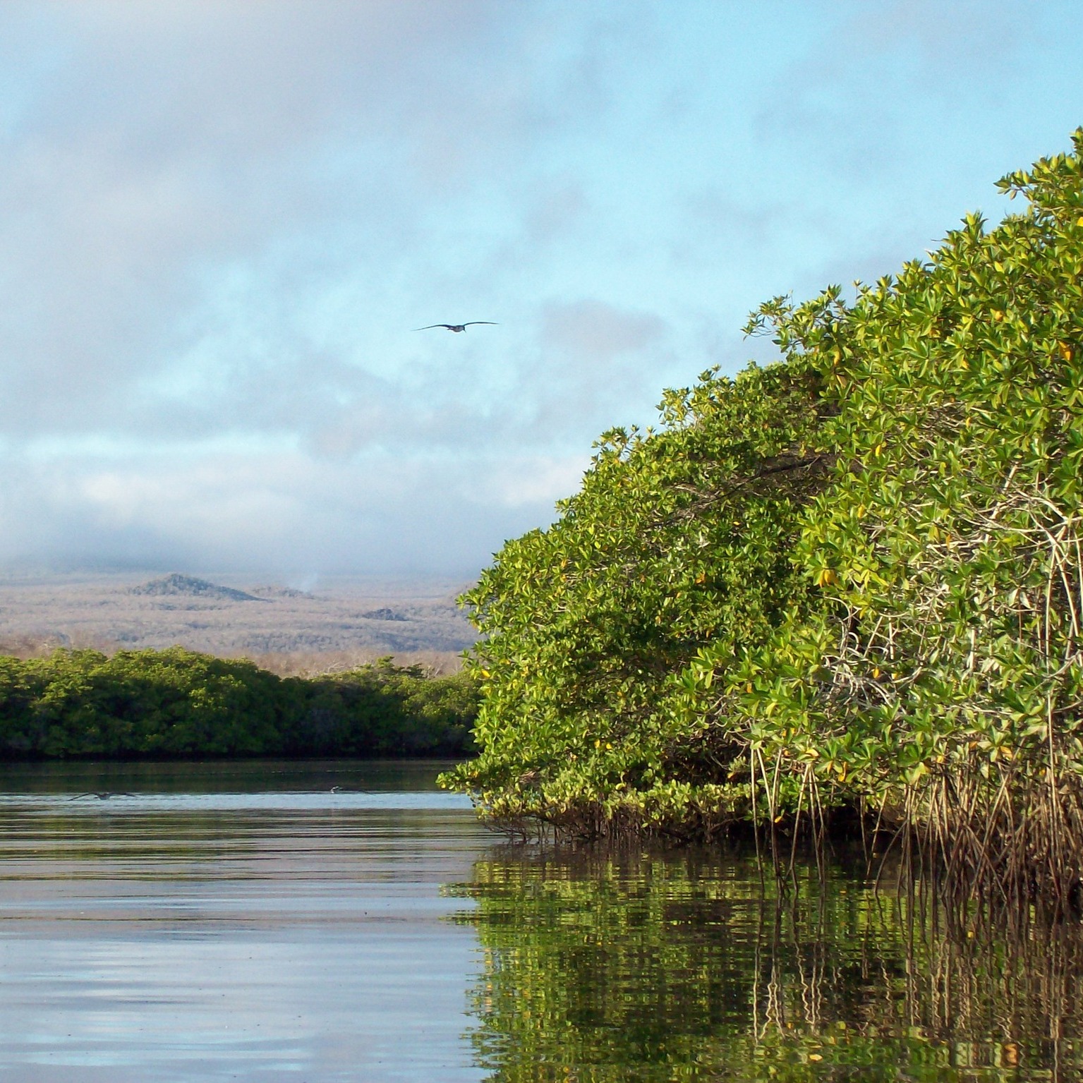 Ilha no Arquipélago de Galápagos. Foto: Divulgação / Unesco