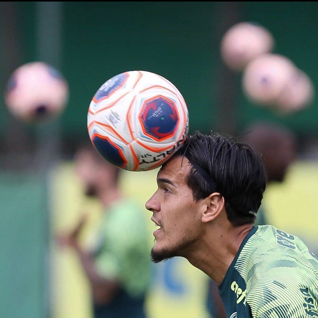 Gustavo Gomez, do Palmeiras. Foto: Instagram