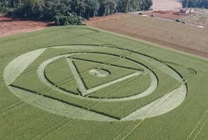 No Brasil, desde 2008, há registros de agroglifos surgindo em plantações de trigo, especialmente no sul do país, com destaque para o interior de Santa Catarina.  Reprodução: Flipar