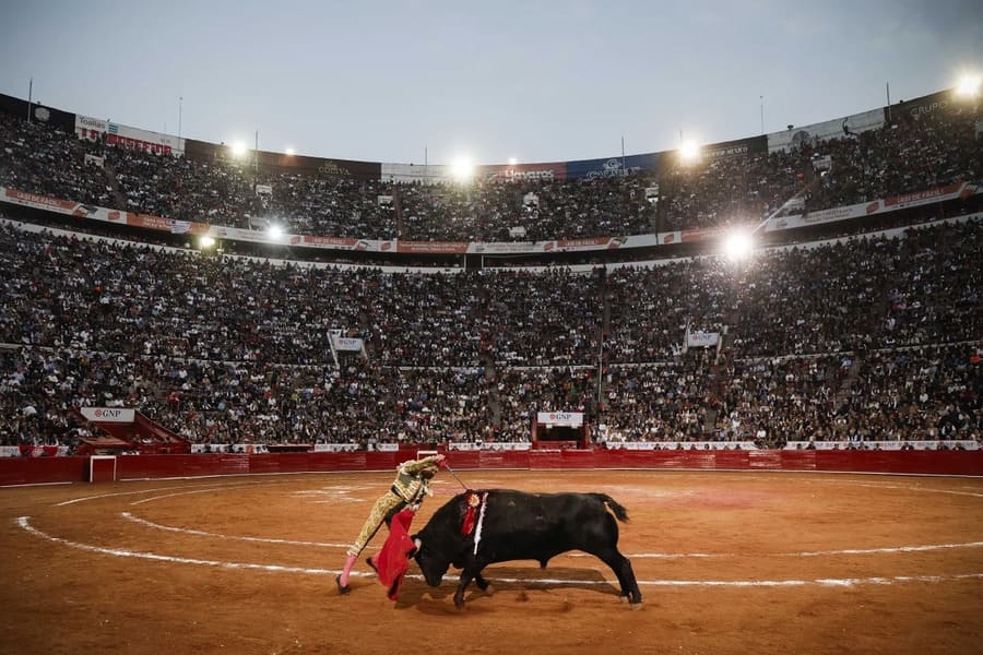 As touradas voltaram a acontecer na Cidade do México, causando protestos nas redes sociais. Há uma divisão entre grupos que condenam essa prática e os defensores da tradição. 