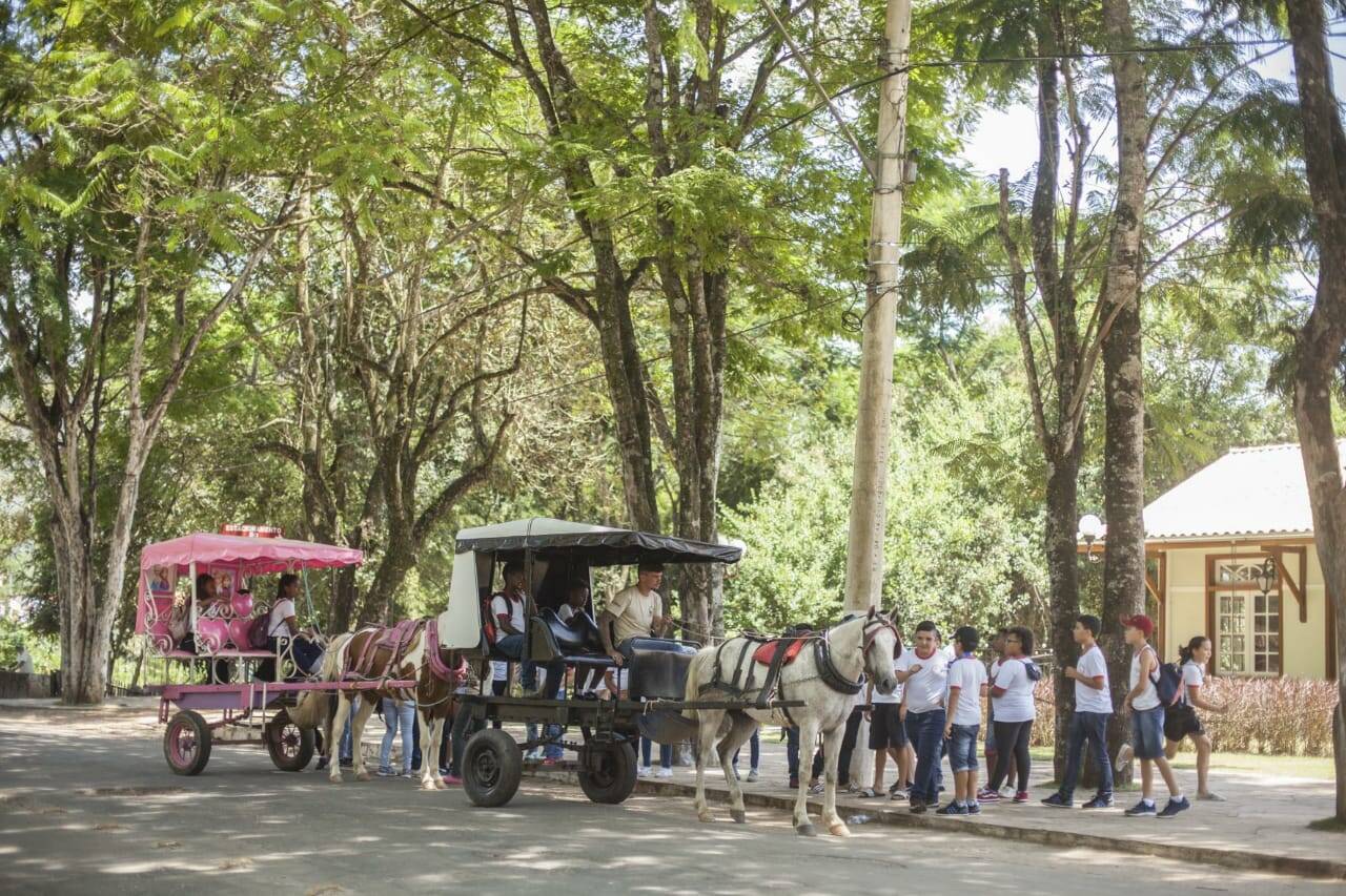 O que fazer em Tiradentes: um passeio de charrete pode ser uma boa ideia para conhecer a cidade de um jeito diferente. Foto: Helena Leão