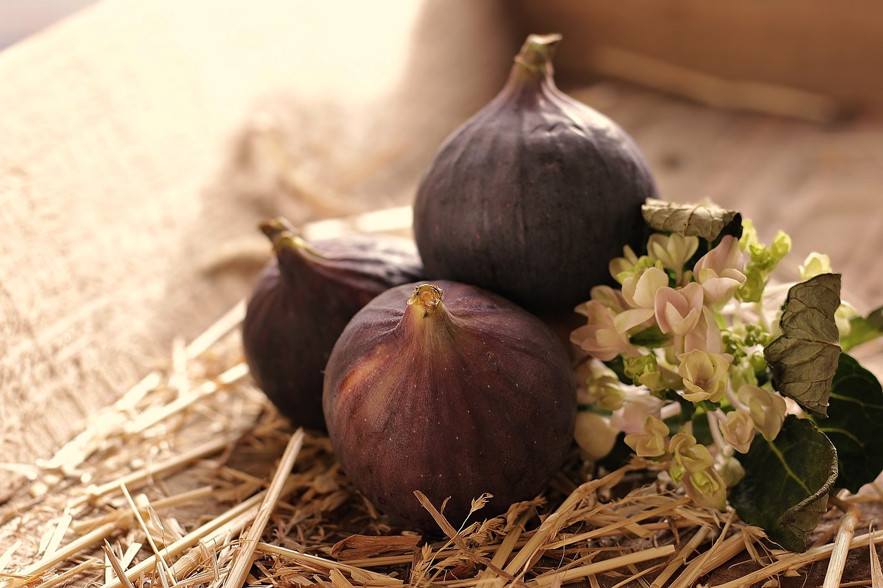 As flores do figo se abrem dentro de uma vagem, que amadurece e se torna o pseudofruto para ser consumido. Para que ele produza sementes férteis, depende da polinização.  Reprodução: Flipar