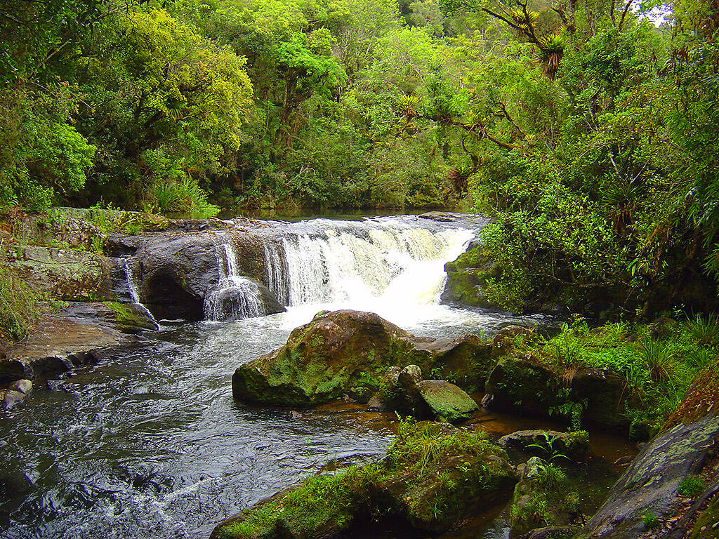 Cachoeiras encontradas no caminho da estrada de Cunha para Paraty . Foto: Flickr/Tadeu Pereira (TED)