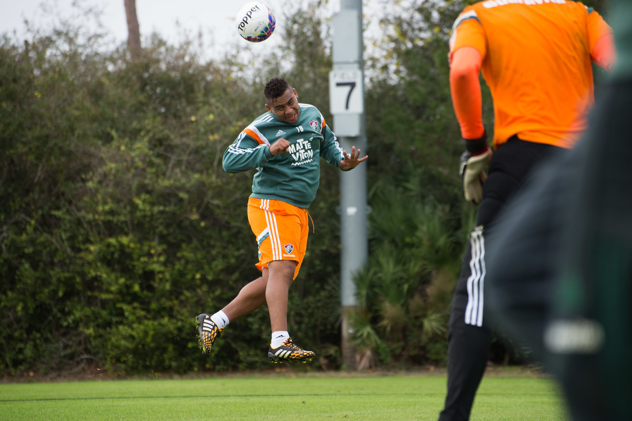 Walter Divulgação/ Fluminense