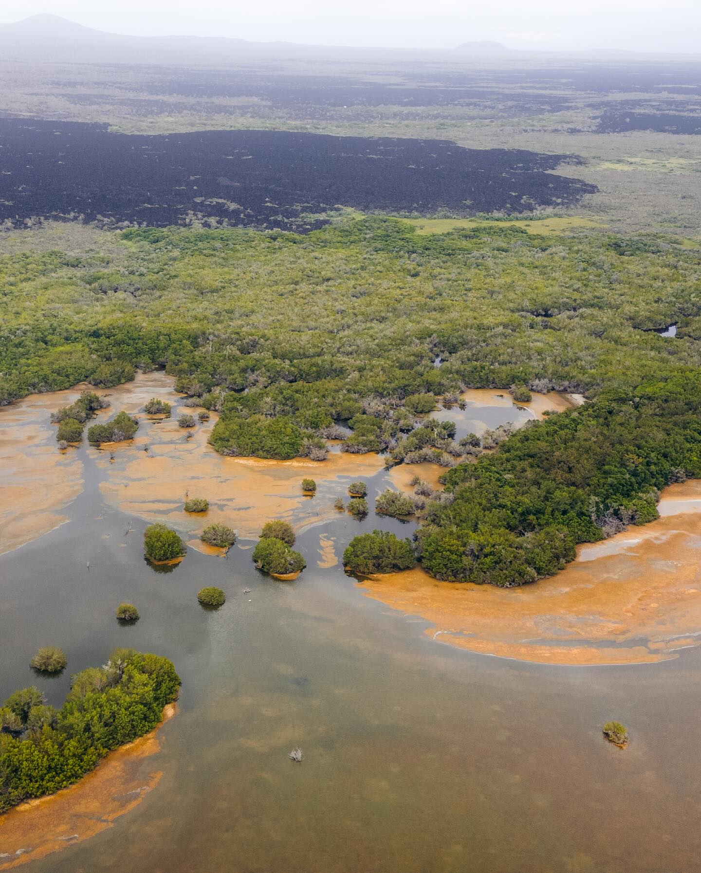 Ilha do Arquipélago de Galápagos. Foto: Divulgação / Unesco