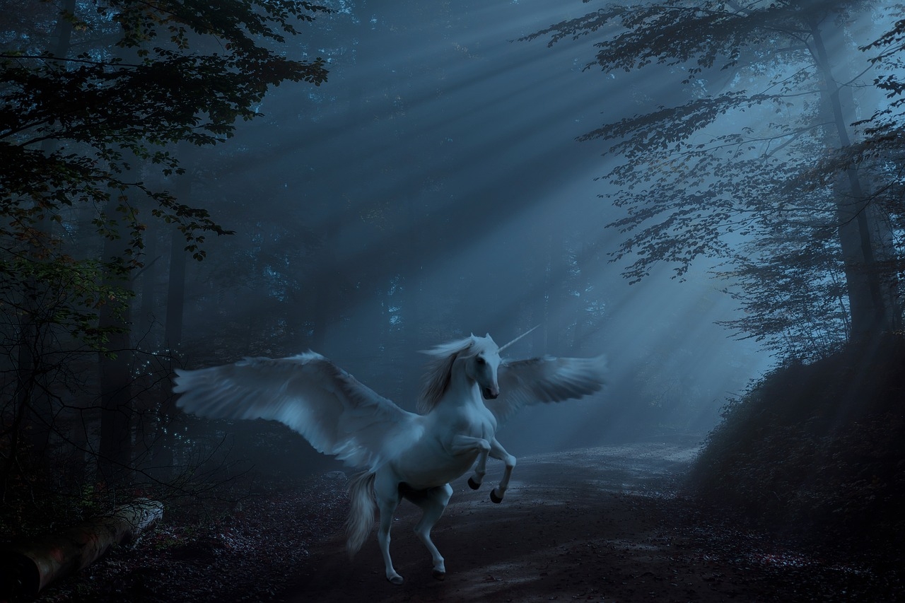 A autora J.K.Roling se refere a eles como criaturas mágicas que habitam a Floresta Proibida, um local misterioso e perigoso em Hogwarts. Os unicórnios são descritos como belos e majestosos, simbolizando pureza e inocência.  Reprodução: Flipar