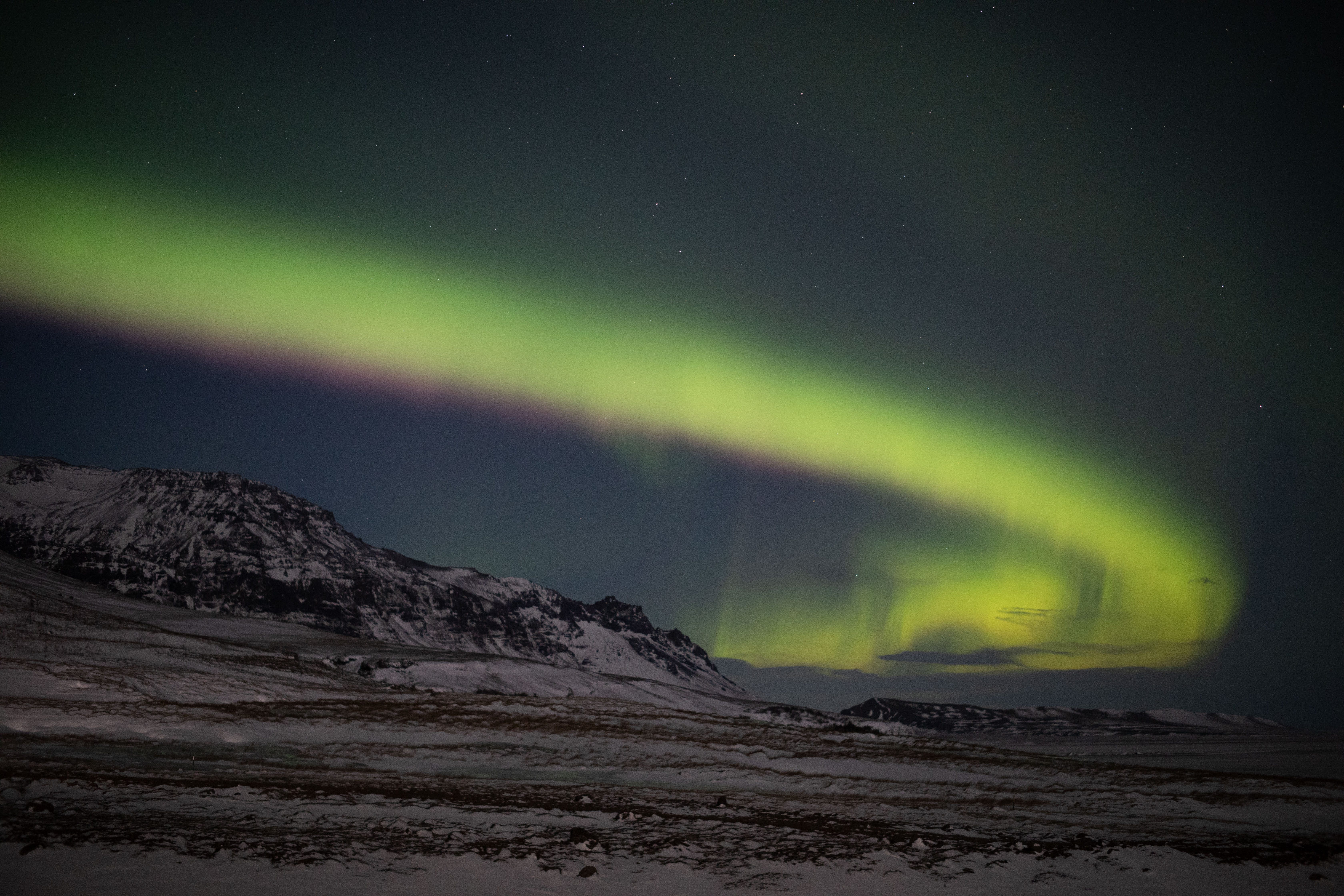 Aurora boreal no céu. Foto: Marco Brotto