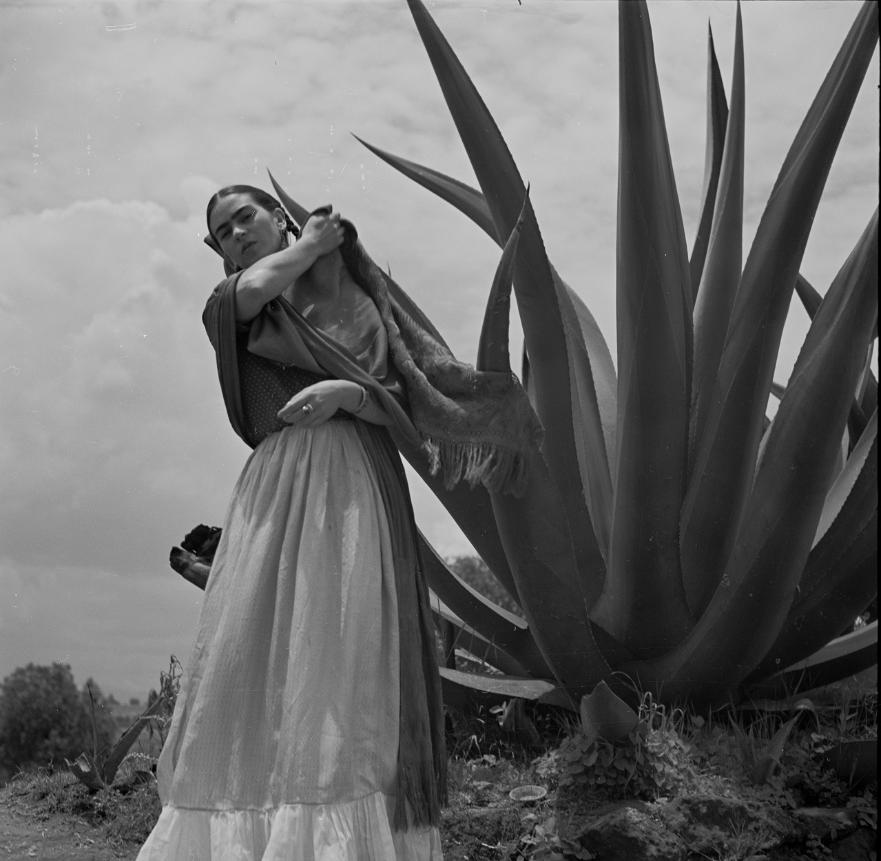 “Frida Kahlo – A vida de um Ícone” conta a trajetória da artista. Foto: Divulgação