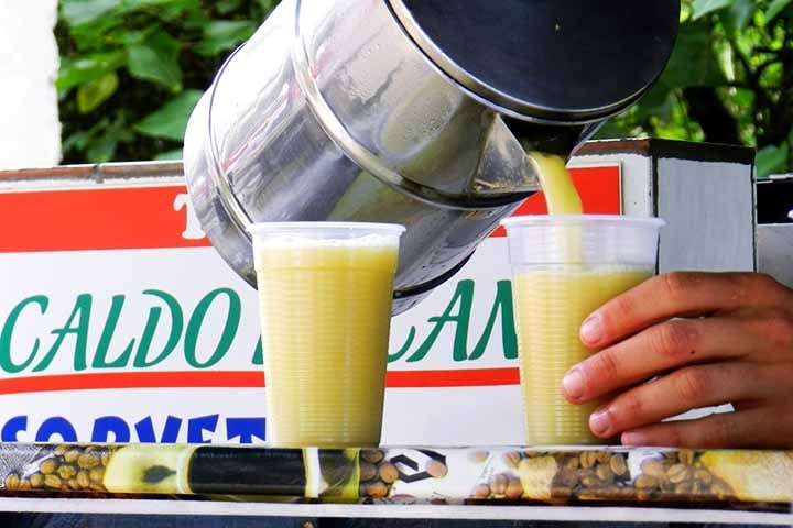 O Brasil apresenta fatores para o cultivo da cana. Entre eles, estão o clima tropical, condições climáticas e de solo ideais para o cultivo. Reprodução: Flipar
