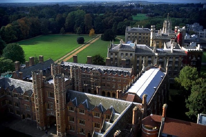 A descoberta foi feita por pesquisadores da Universidade de Cambridge, em 2019.  Reprodução: Flipar